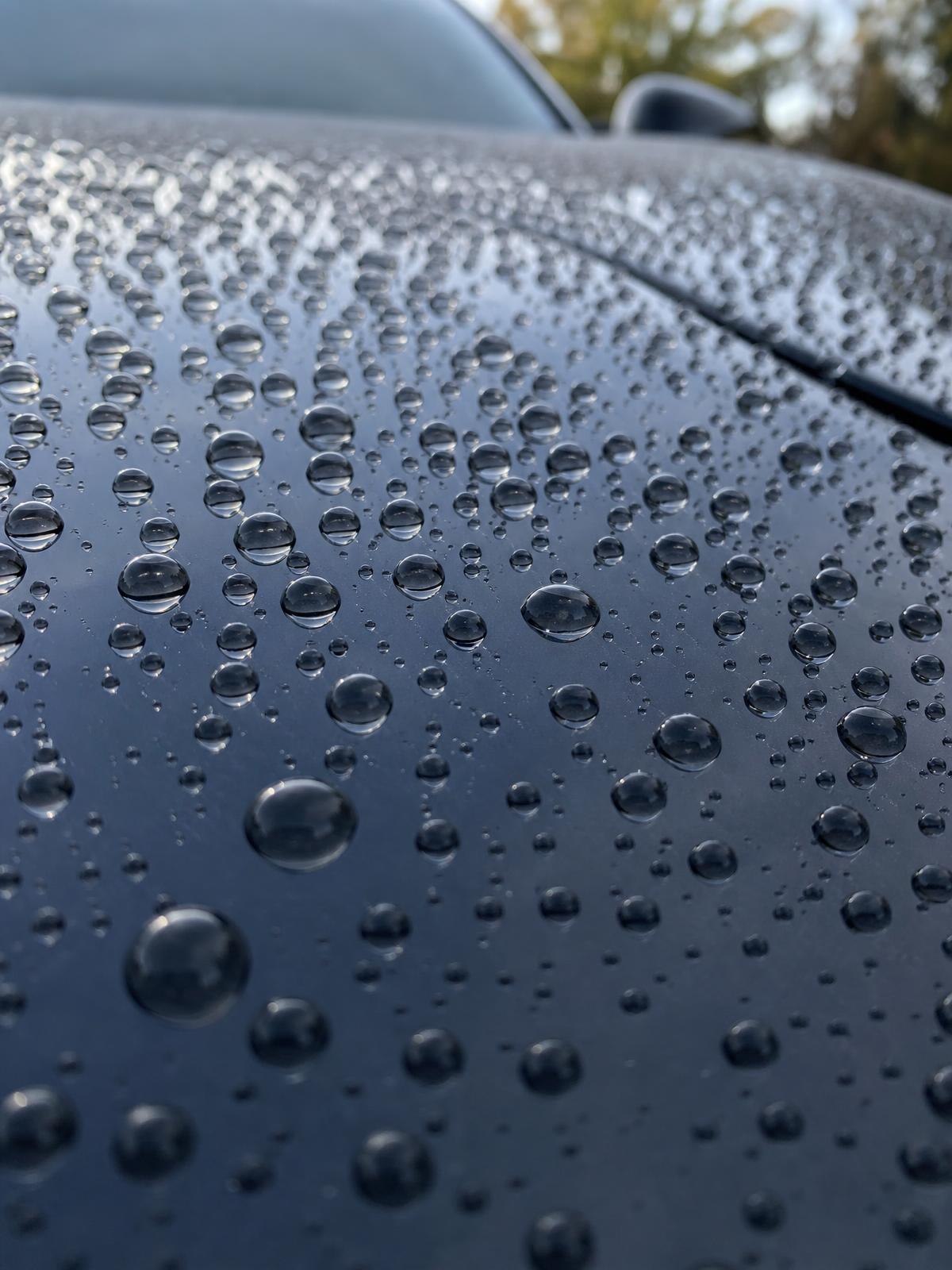 Coatings & Protection